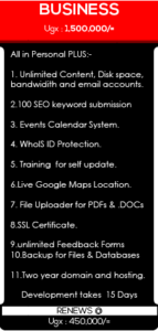 business website design kampala