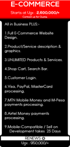 online shop website design kampala